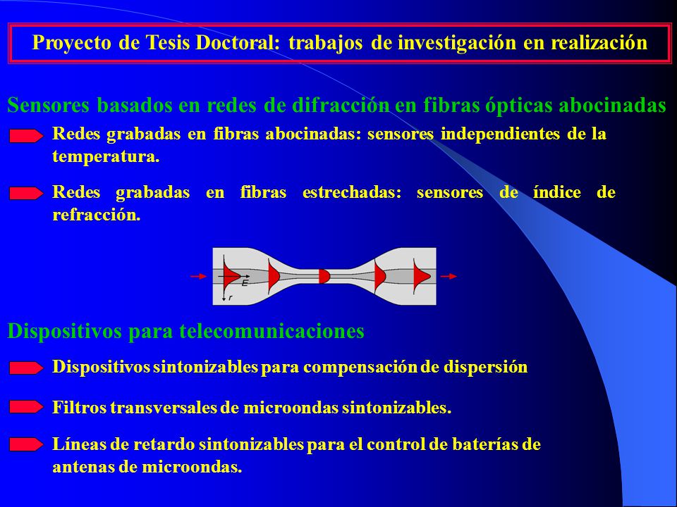 Proyecto de Tesis Doctoral: trabajos de investigación en realización