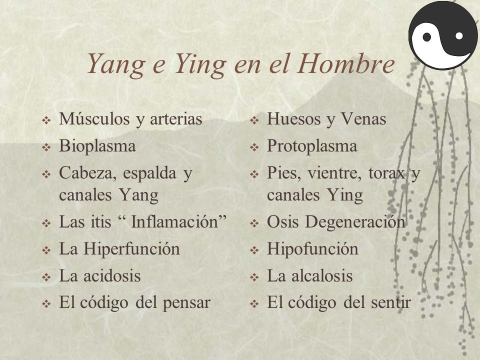 Yang e Ying en el Hombre Músculos y arterias Bioplasma