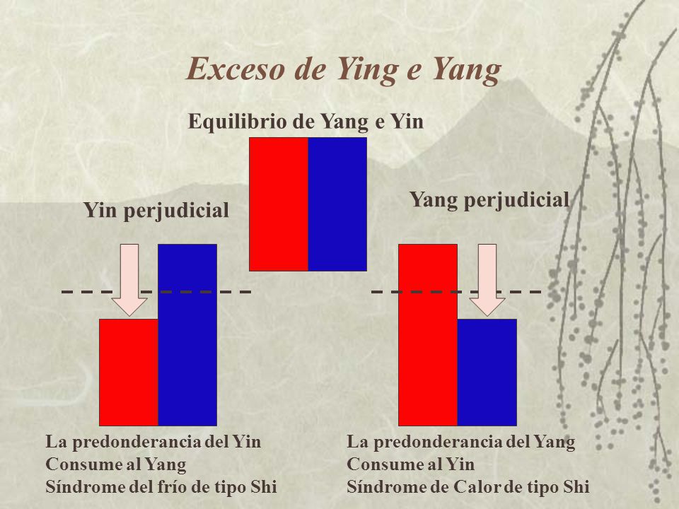Exceso de Ying e Yang Equilibrio de Yang e Yin Yang perjudicial