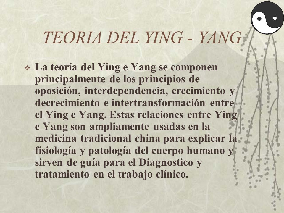 TEORIA DEL YING - YANG