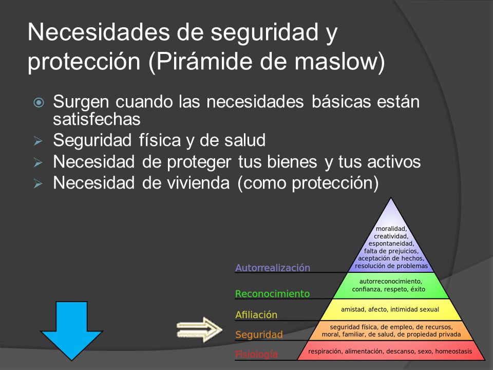 Necesidades de seguridad y protección (Pirámide de maslow)