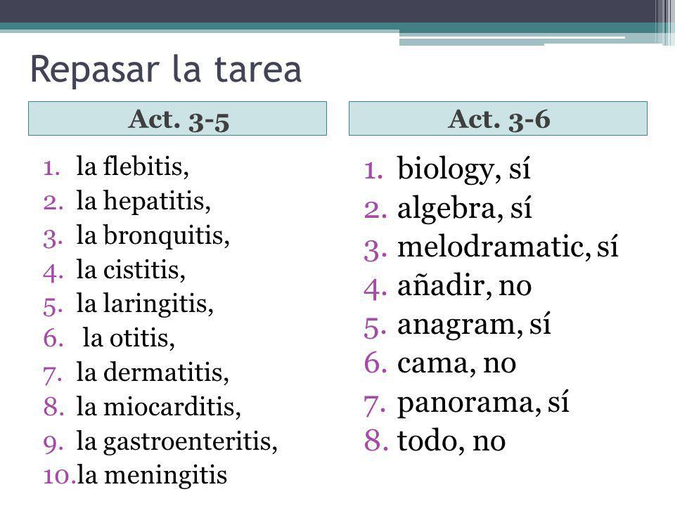 Repasar la tarea biology, sí algebra, sí melodramatic, sí añadir, no