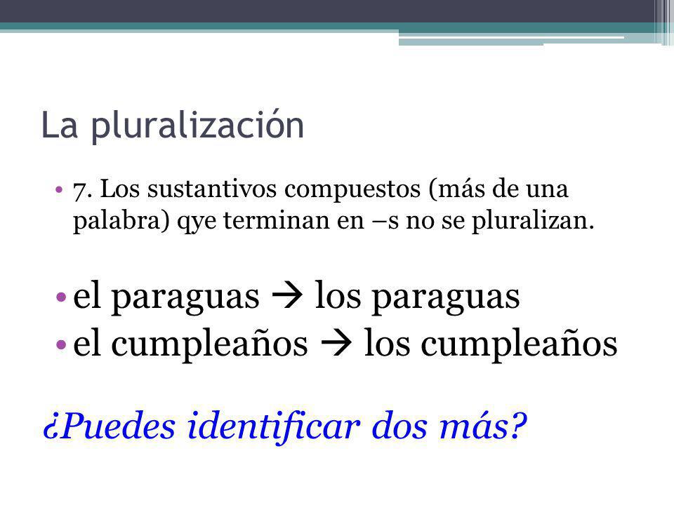 el paraguas  los paraguas el cumpleaños  los cumpleaños