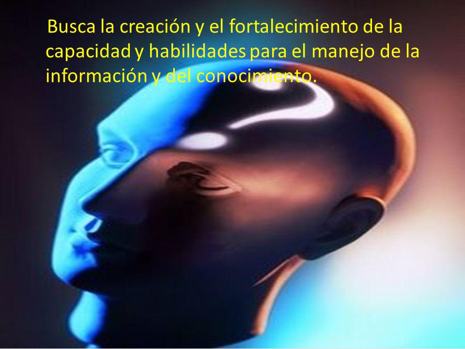 Busca la creación y el fortalecimiento de la capacidad y habilidades para el manejo de la información y del conocimiento.