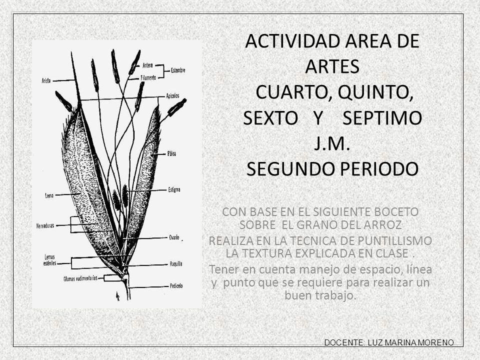 ACTIVIDAD AREA DE ARTES CUARTO, QUINTO, SEXTO Y SEPTIMO J. M