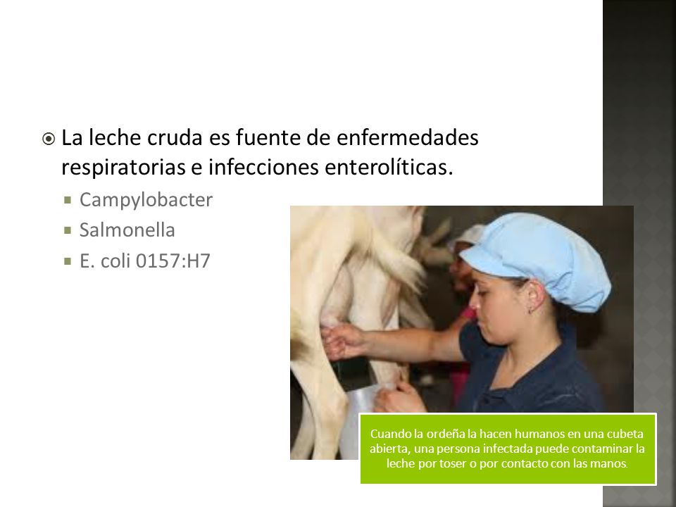 La leche cruda es fuente de enfermedades respiratorias e infecciones enterolíticas.