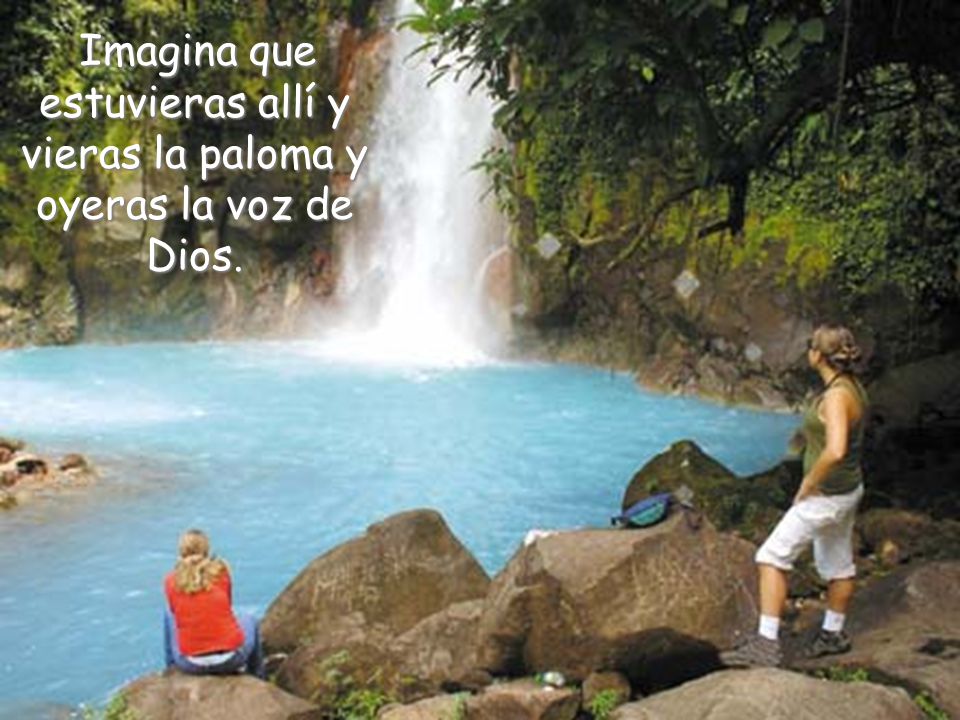Imagina que estuvieras allí y vieras la paloma y oyeras la voz de Dios.