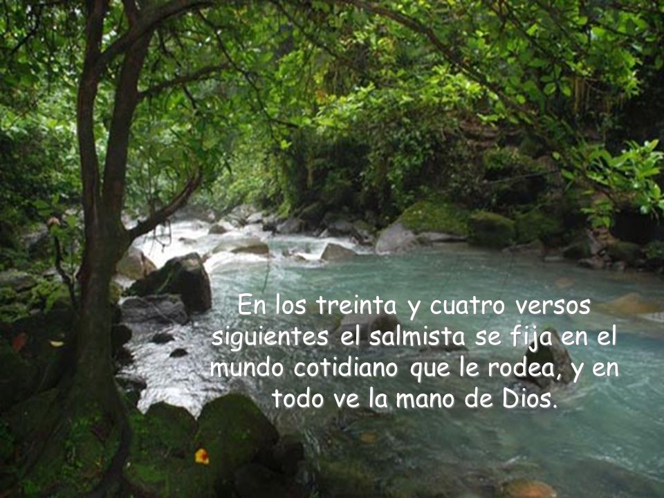 En los treinta y cuatro versos siguientes el salmista se fija en el mundo cotidiano que le rodea, y en todo ve la mano de Dios.