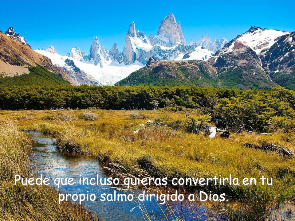Puede que incluso quieras convertirla en tu propio salmo dirigido a Dios.