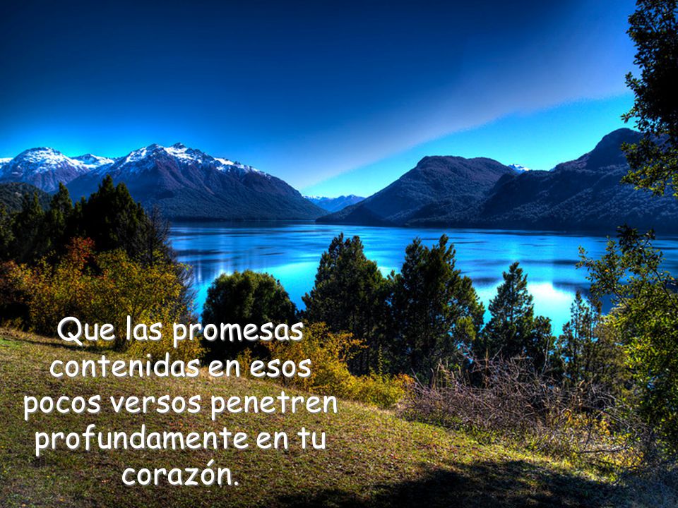 Que las promesas contenidas en esos pocos versos penetren profundamente en tu corazón.