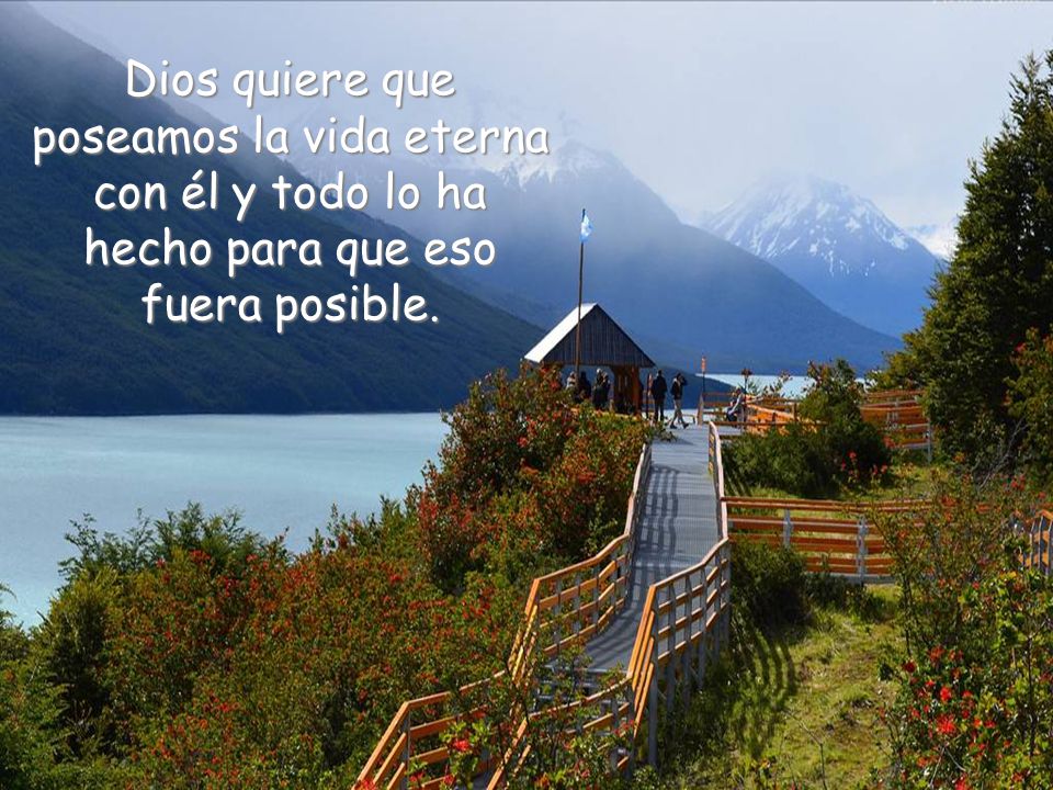 Dios quiere que poseamos la vida eterna con él y todo lo ha hecho para que eso fuera posible.