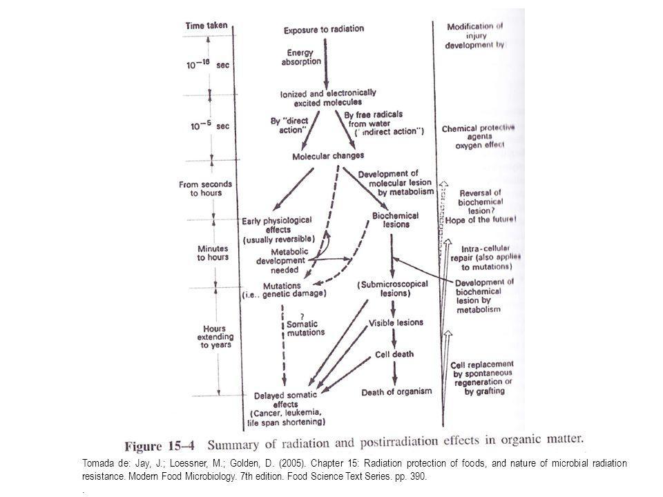 Tomada de: Jay, J. ; Loessner, M. ; Golden, D. (2005)