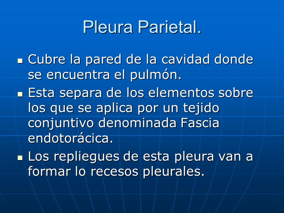 Pleura Parietal. Cubre la pared de la cavidad donde se encuentra el pulmón.