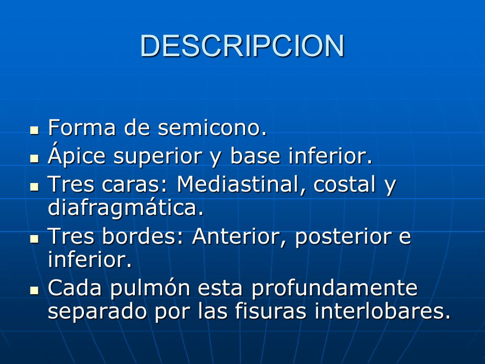 DESCRIPCION Forma de semicono. Ápice superior y base inferior.