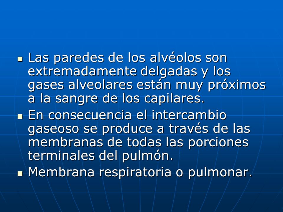 Las paredes de los alvéolos son extremadamente delgadas y los gases alveolares están muy próximos a la sangre de los capilares.