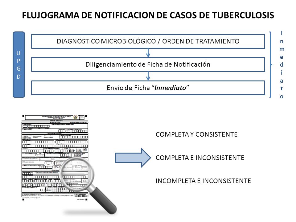 FLUJOGRAMA DE NOTIFICACION DE CASOS DE TUBERCULOSIS
