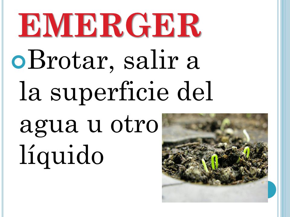EMERGER Brotar, salir a la superficie del agua u otro líquido