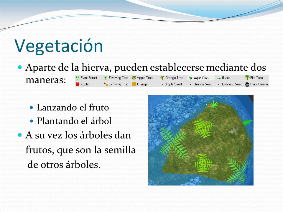 Vegetación Aparte de la hierva, pueden establecerse mediante dos maneras: Lanzando el fruto. Plantando el árbol.