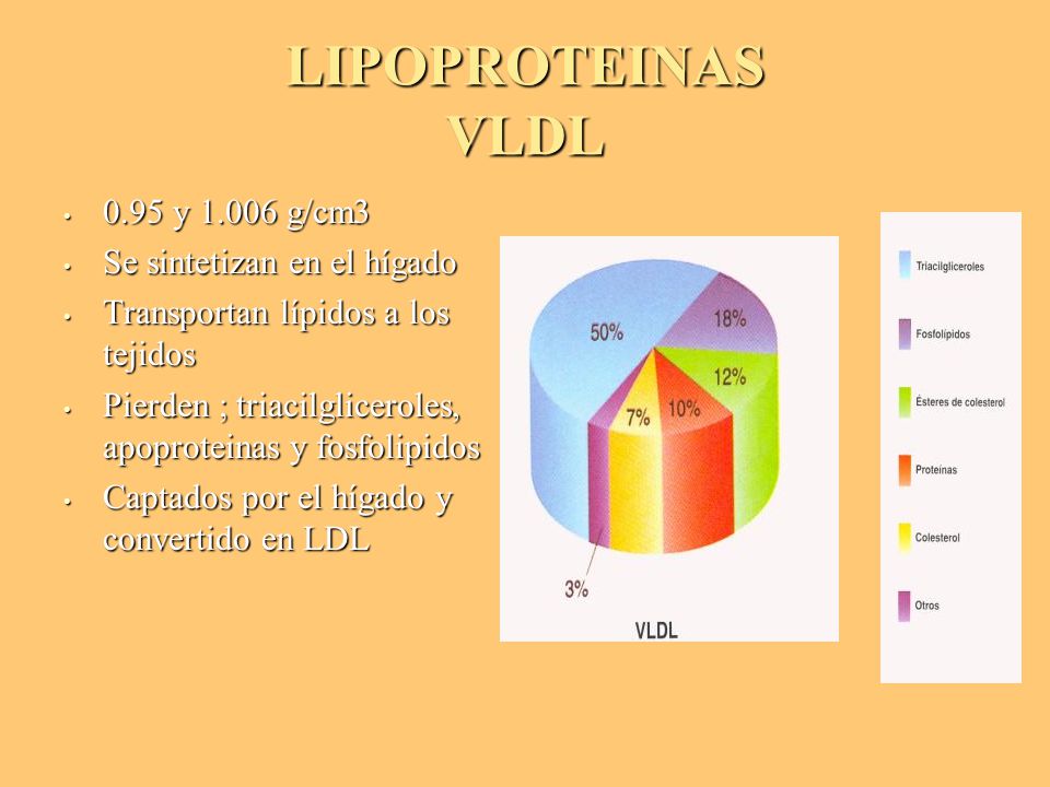LIPOPROTEINAS VLDL 0.95 y g/cm3 Se sintetizan en el hígado