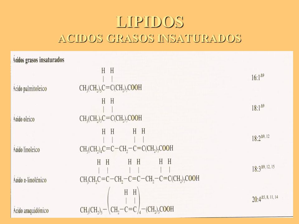 LIPIDOS ACIDOS GRASOS INSATURADOS