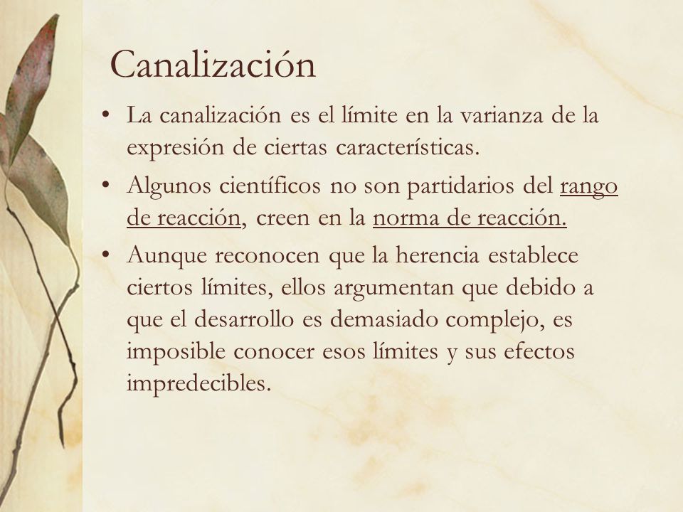 Canalización La canalización es el límite en la varianza de la expresión de ciertas características.