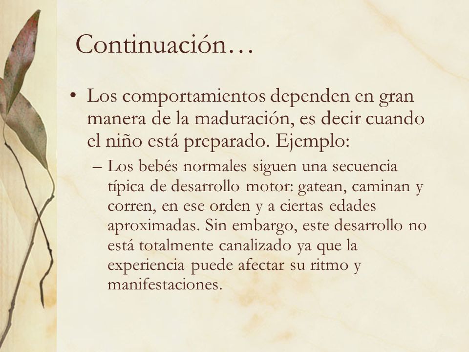 Continuación… Los comportamientos dependen en gran manera de la maduración, es decir cuando el niño está preparado. Ejemplo: