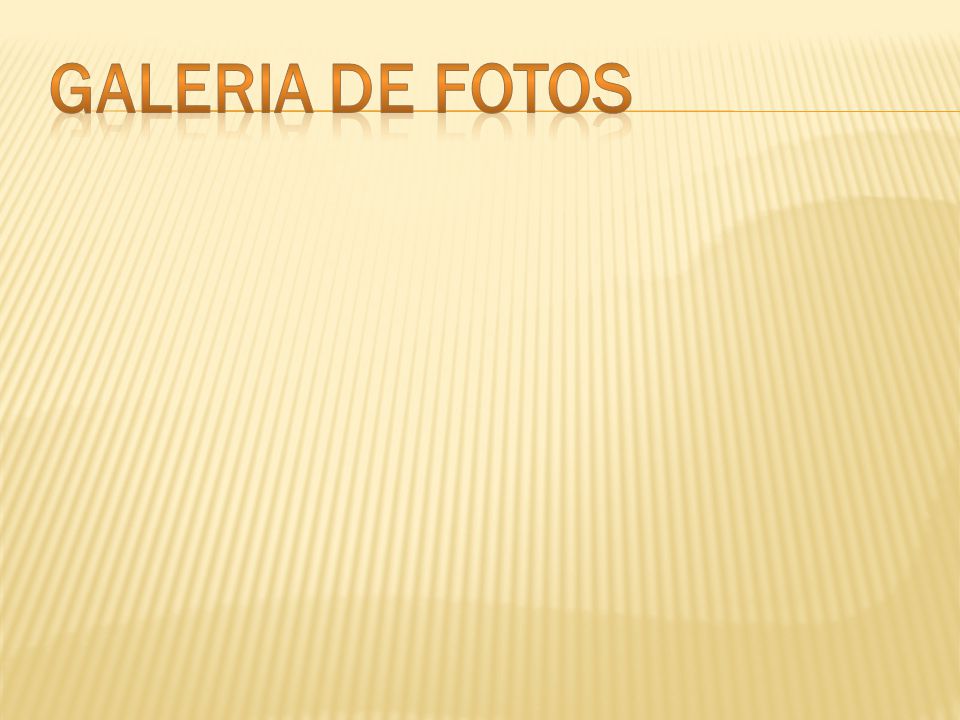 Galeria de fotos