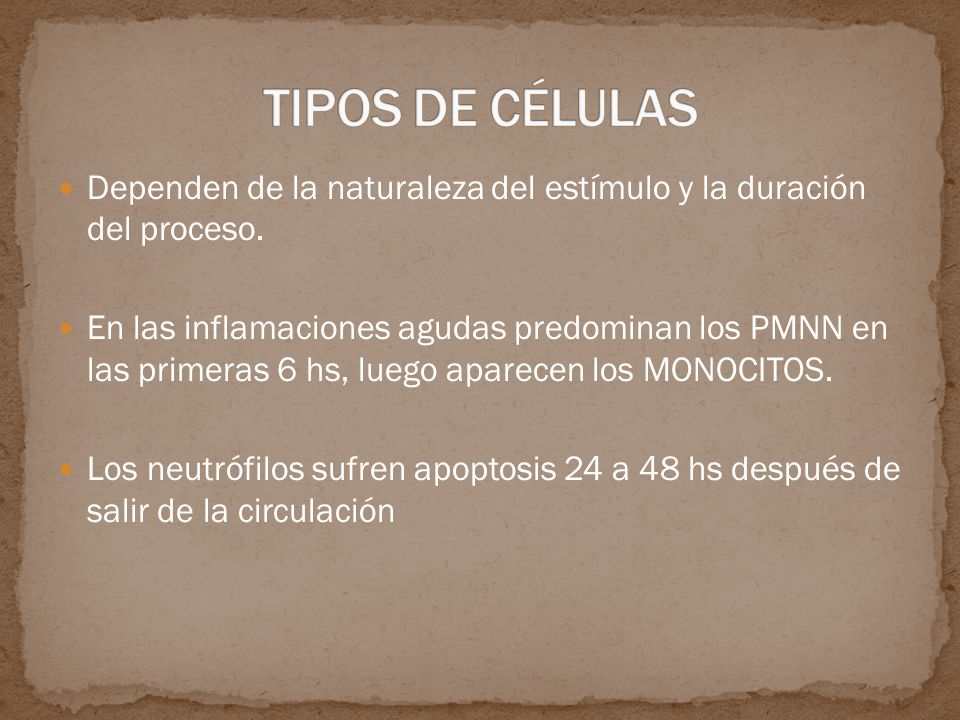TIPOS DE CÉLULAS Dependen de la naturaleza del estímulo y la duración del proceso.