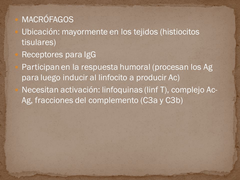 MACRÓFAGOS Ubicación: mayormente en los tejidos (histiocitos tisulares) Receptores para IgG.