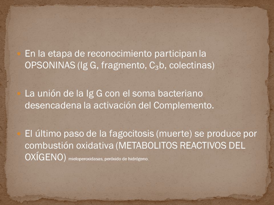 En la etapa de reconocimiento participan la OPSONINAS (Ig G, fragmento, C₃b, colectinas)