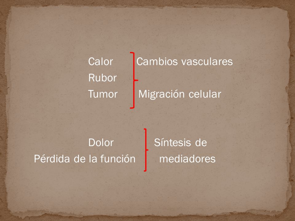 Calor Cambios vasculares Rubor Tumor Migración celular Dolor Síntesis de Pérdida de la función mediadores