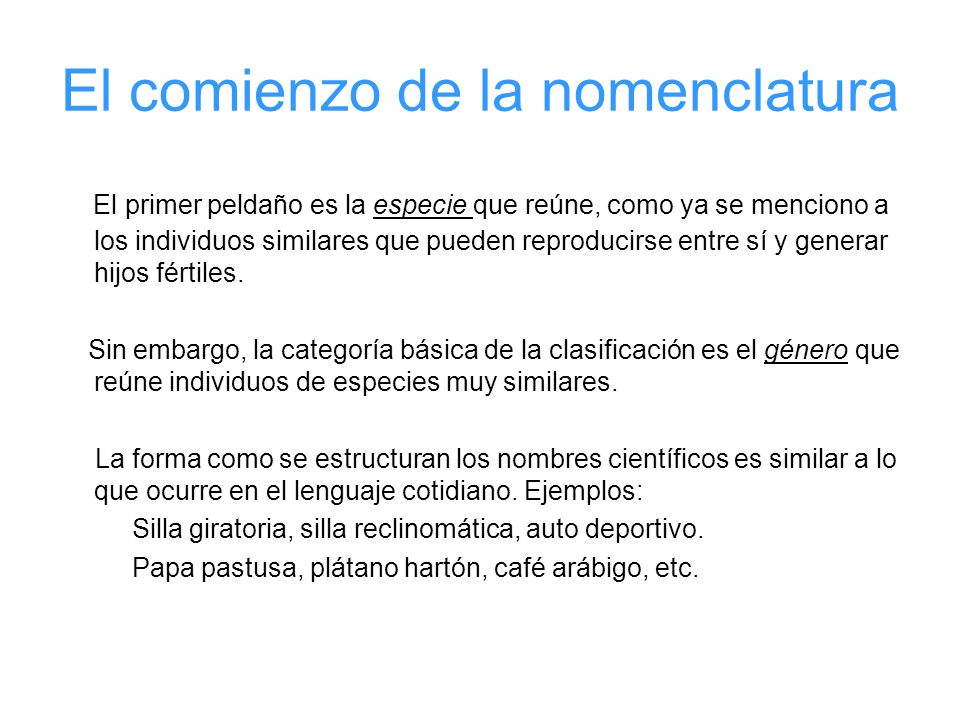 El comienzo de la nomenclatura