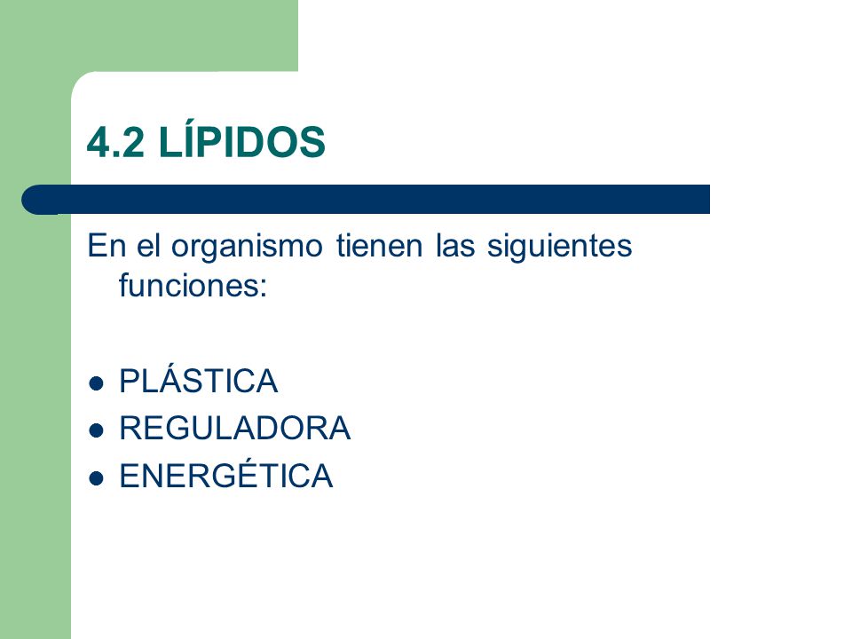 4.2 LÍPIDOS En el organismo tienen las siguientes funciones: PLÁSTICA
