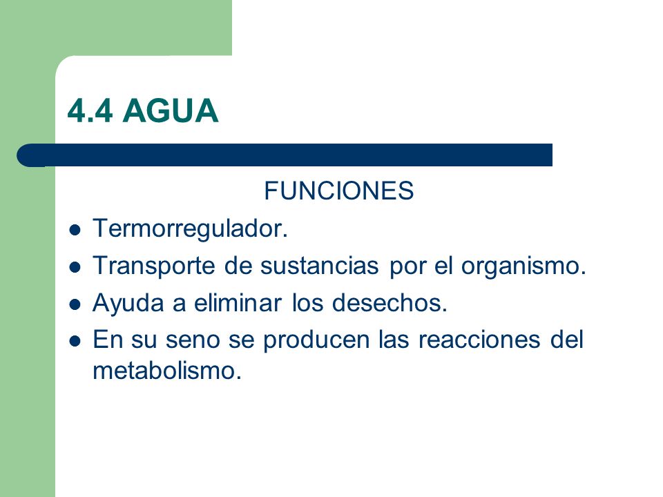 4.4 AGUA FUNCIONES Termorregulador.