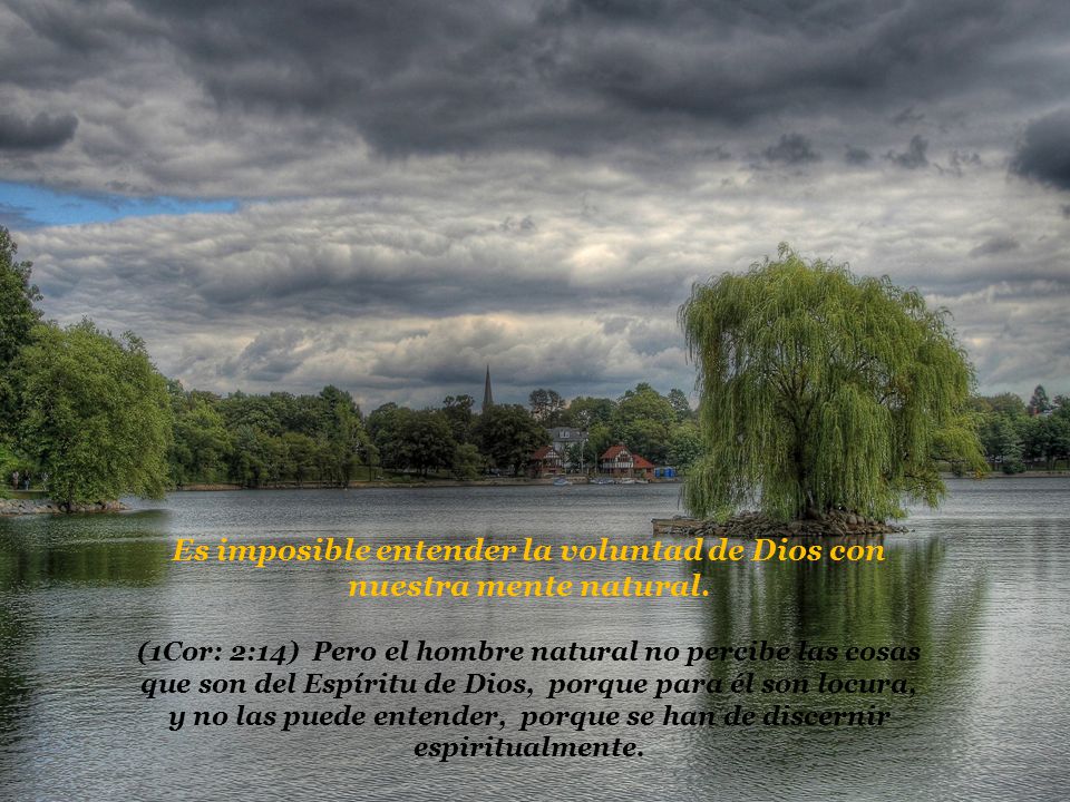 Es imposible entender la voluntad de Dios con nuestra mente natural.