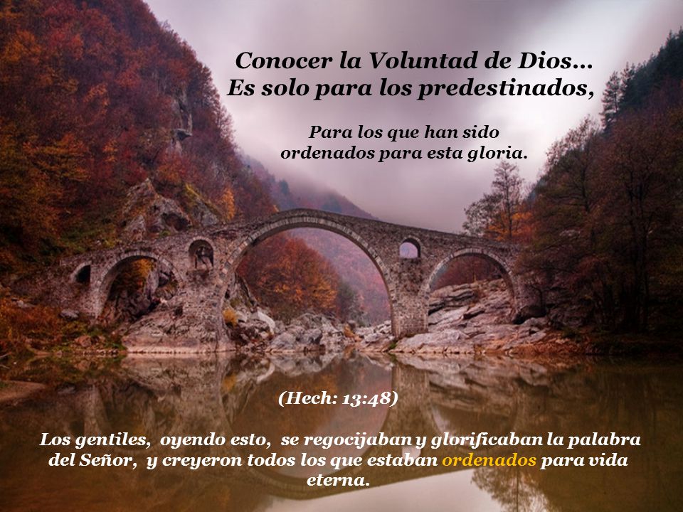 Conocer la Voluntad de Dios… Es solo para los predestinados,