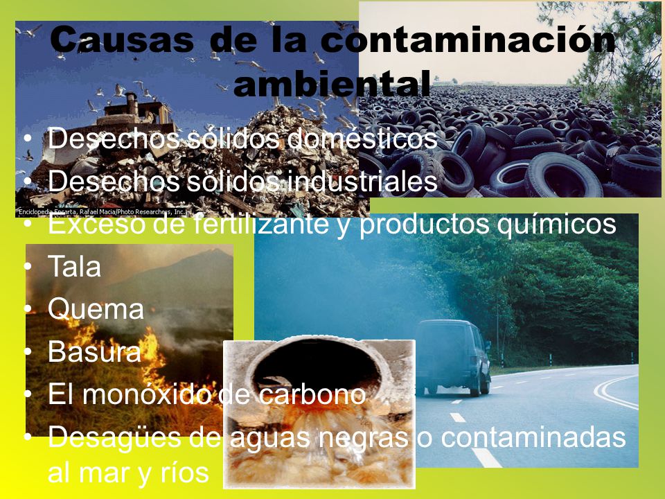 Causas de la contaminación ambiental