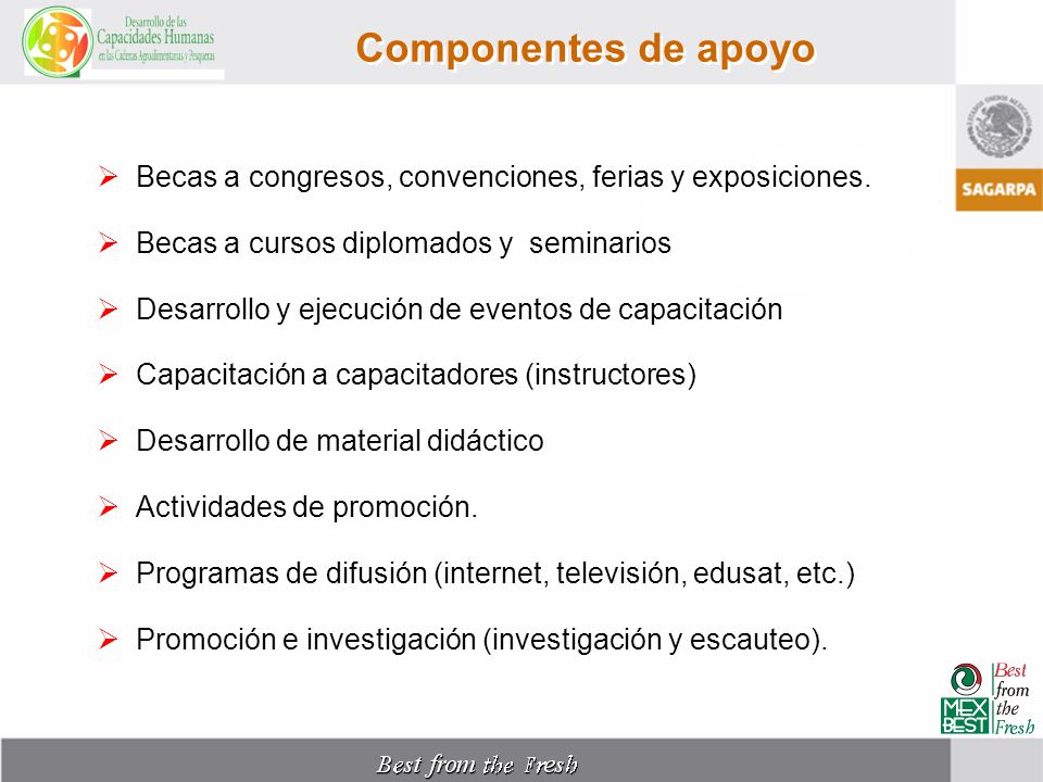 Componentes de apoyo Becas a congresos, convenciones, ferias y exposiciones. Becas a cursos diplomados y seminarios.
