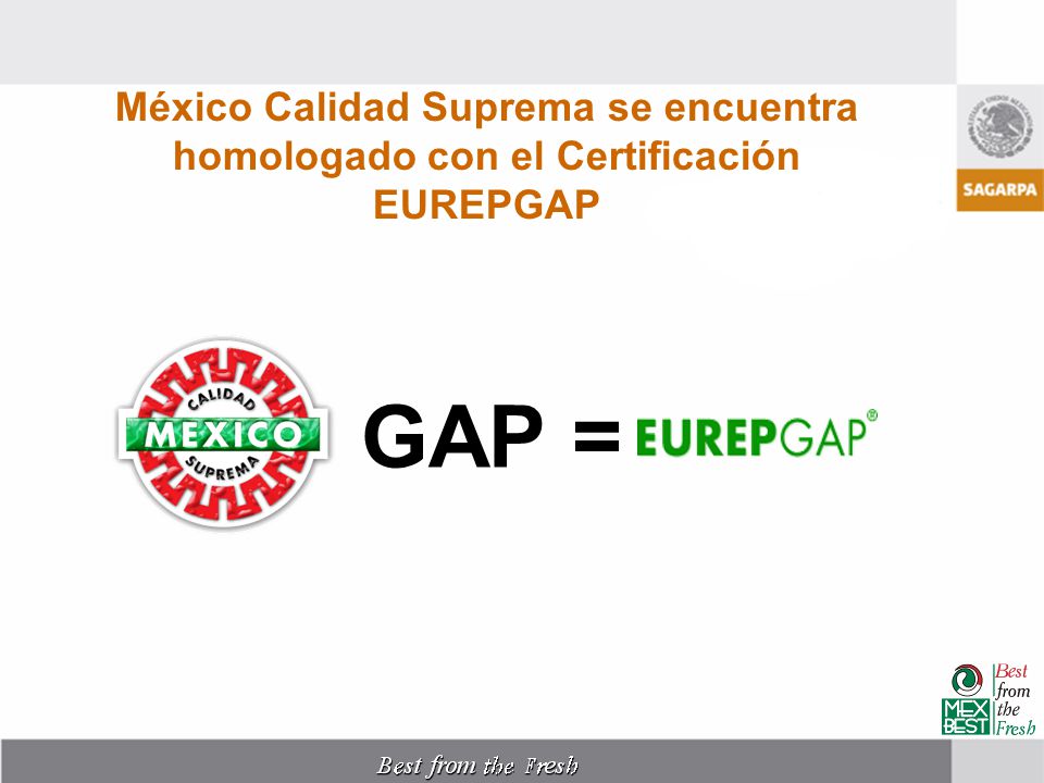 México Calidad Suprema se encuentra homologado con el Certificación EUREPGAP