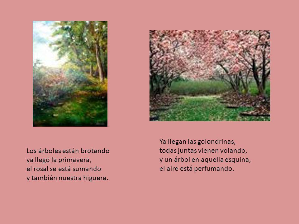 Ya llegan las golondrinas, todas juntas vienen volando, y un árbol en aquella esquina, el aire está perfumando.