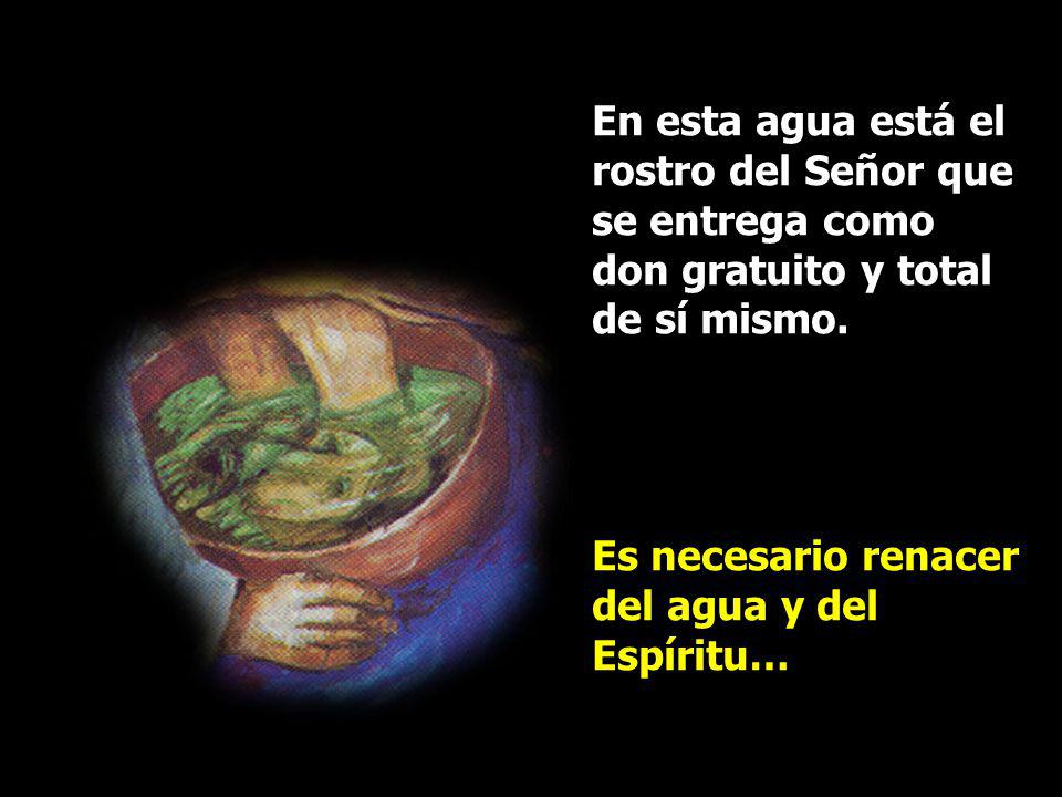 En esta agua está el rostro del Señor que se entrega como don gratuito y total de sí mismo.