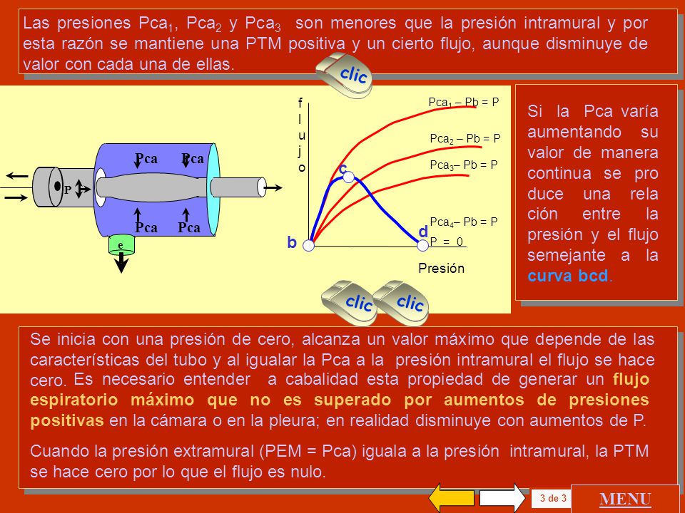 Las presiones Pca1, Pca2 y Pca3 son menores que la presión intramural y por esta razón se mantiene una PTM positiva y un cierto flujo, aunque disminuye de valor con cada una de ellas.