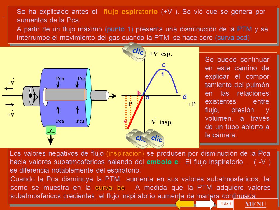 Se ha explicado antes el flujo espiratorio (+V )