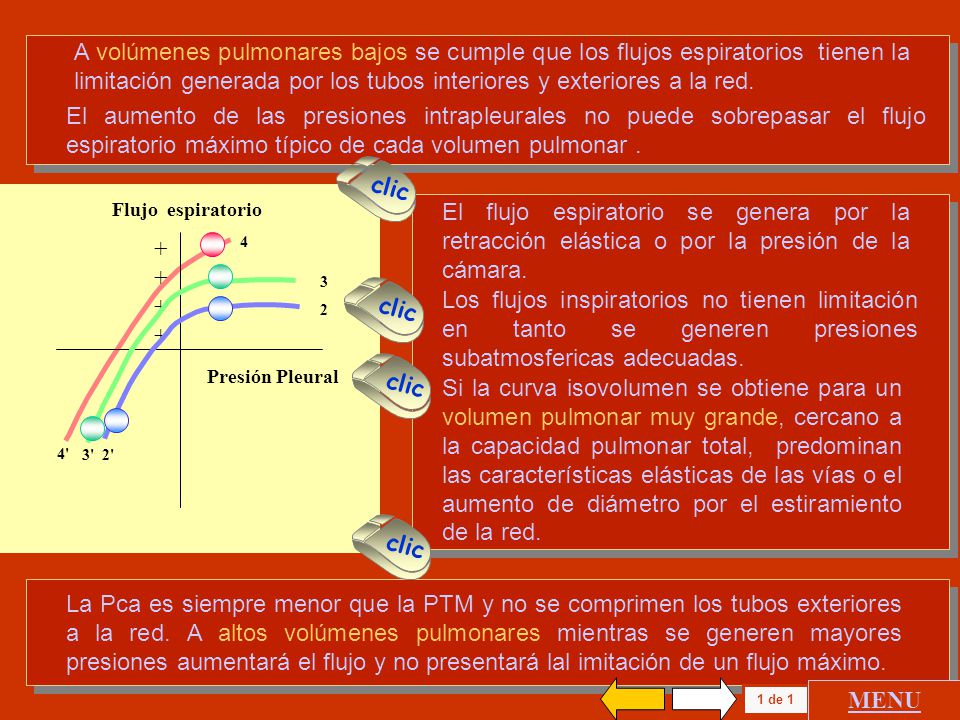 A volúmenes pulmonares bajos se cumple que los flujos espiratorios tienen la limitación generada por los tubos interiores y exteriores a la red.