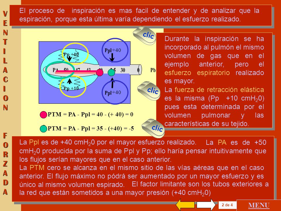 El proceso de inspiración es mas facil de entender y de analizar que la espiración, porque esta última varía dependiendo el esfuerzo realizado.