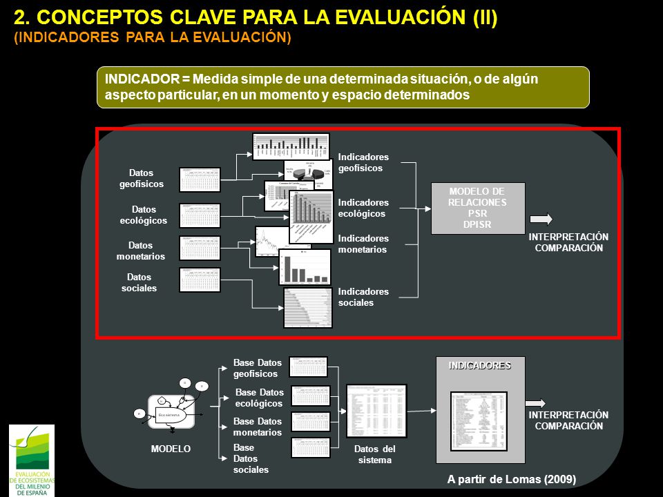 2. CONCEPTOS CLAVE PARA LA EVALUACIÓN (II) (INDICADORES PARA LA EVALUACIÓN)
