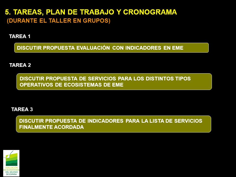 5. TAREAS, PLAN DE TRABAJO Y CRONOGRAMA (DURANTE EL TALLER EN GRUPOS)