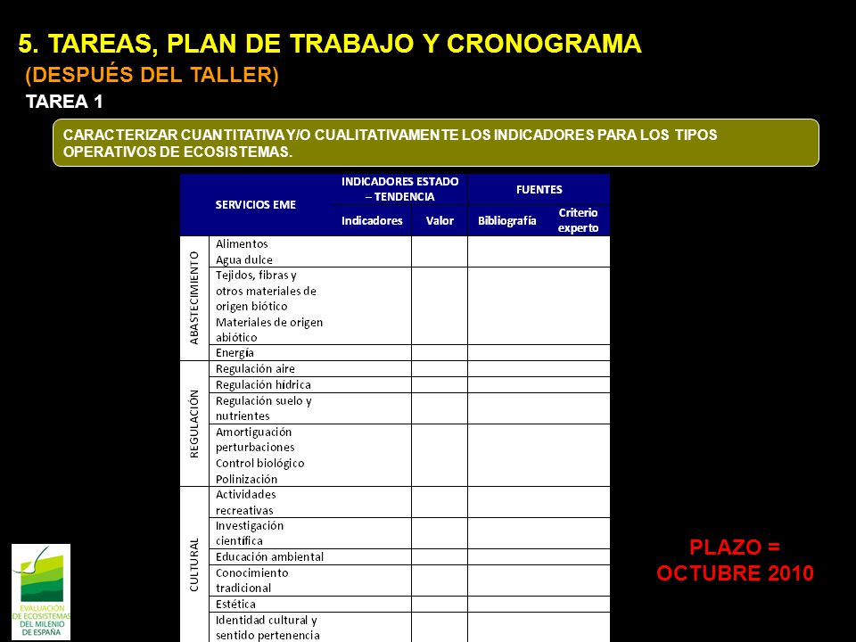 5. TAREAS, PLAN DE TRABAJO Y CRONOGRAMA (DESPUÉS DEL TALLER)