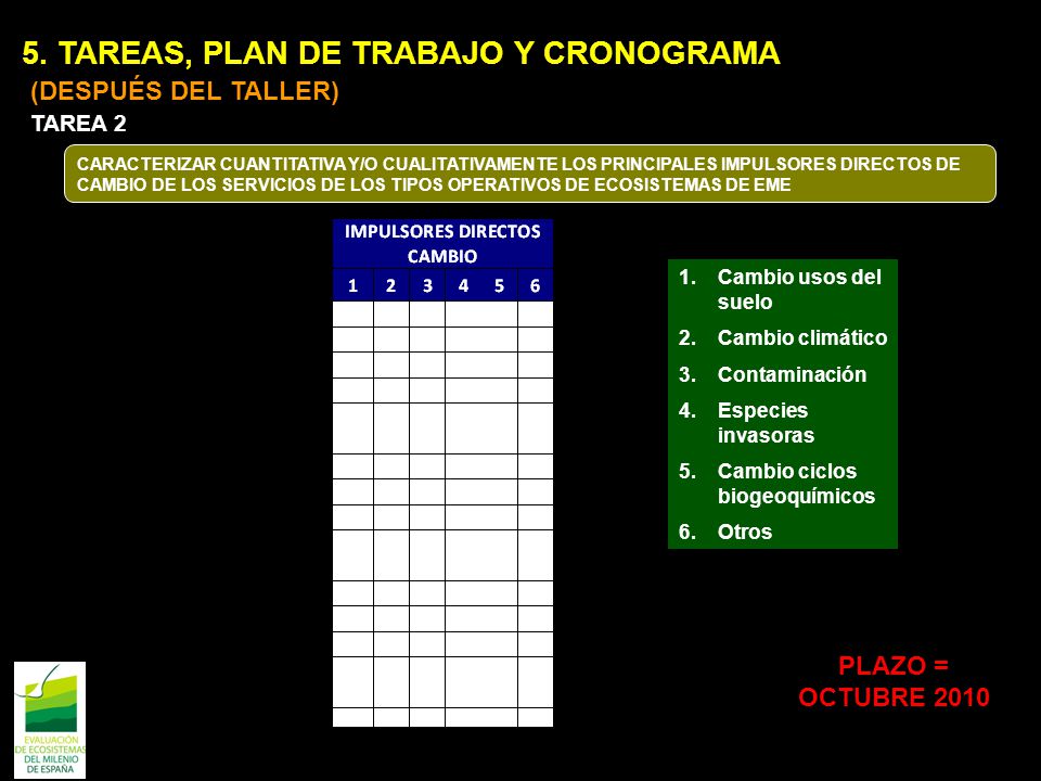 5. TAREAS, PLAN DE TRABAJO Y CRONOGRAMA (DESPUÉS DEL TALLER)