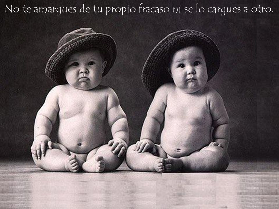 No te amargues de tu propio fracaso ni se lo cargues a otro.